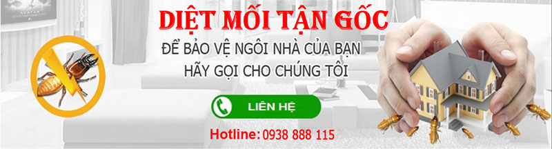 Công ty diệt mối uy tín nhất tại Quận 2, Tp Hồ Chí Minh